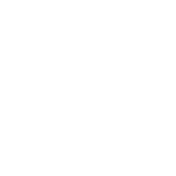 icona personalizzazione bianca