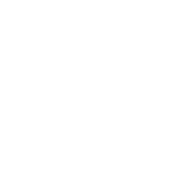 icona risultati bianca